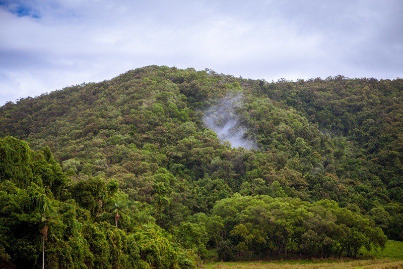 Dżungla Daintree w Australii